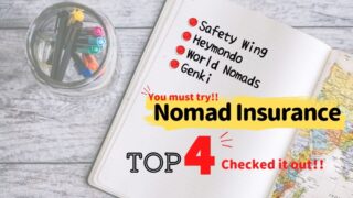 The Best Nomad Insurance; We recommend Safety Wing [.28/month]