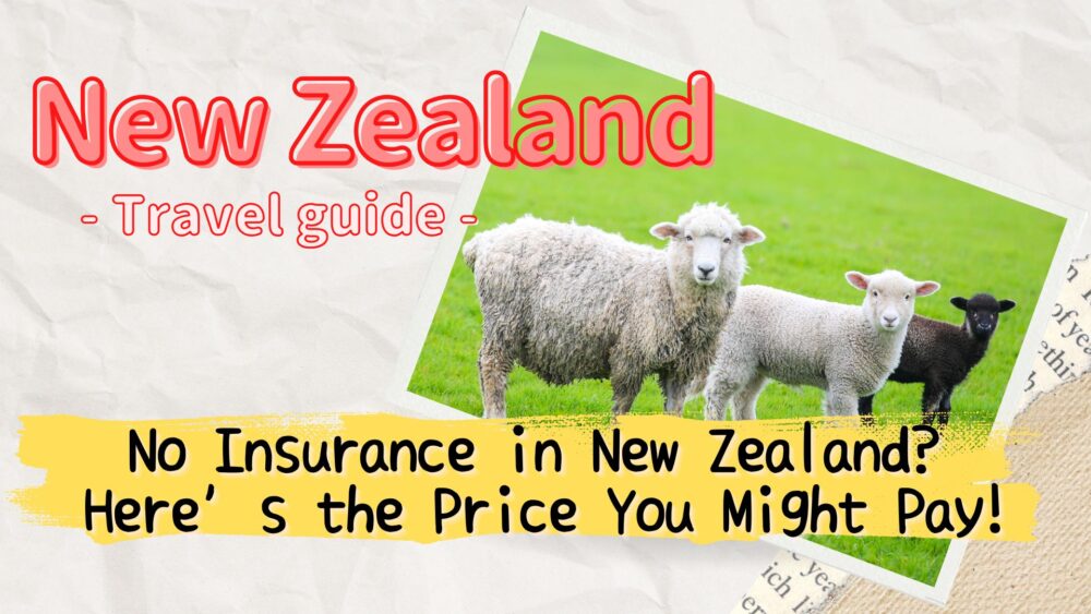 Thinking of Visiting New Zealand Without Insurance? High Medical Costs You Need to Know